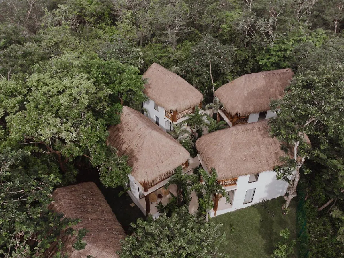 Hotel Amarbacalar